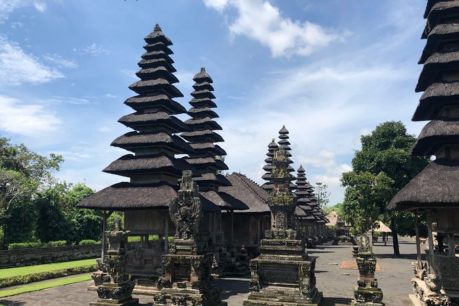 Ubud Experience ; Swing, Waterfalls, Art Market, Rice Terrace - The private driver makes the difference