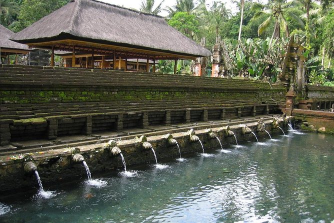 Ubud Experience ; Swing, Waterfalls, Art Market, Rice Terrace - Timing, comfort, and the real value of $41.67