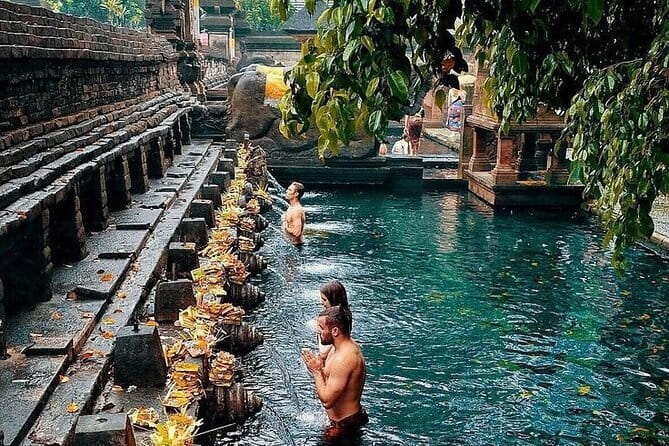 Ubud Hidden Gems Waterfall, Temple and Rice Terraces Private Tour - What the private guide adds