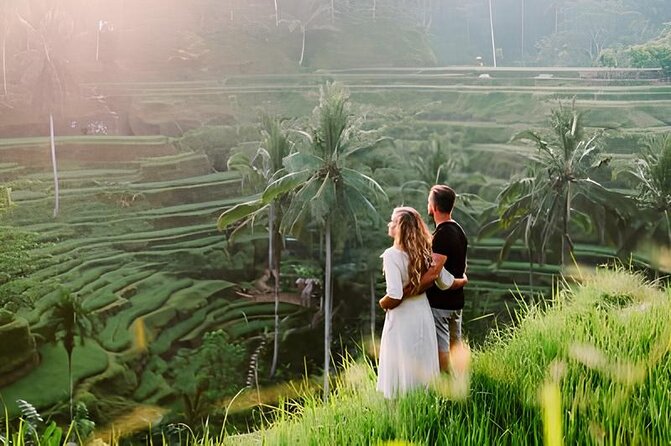 Ubud Highlights Rice Terraces, Temple, Waterfall & Monkeys forest - Why a private vehicle helps around Ubud