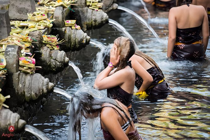 Ubud Highlights Rice Terraces, Temple, Waterfall & Monkeys forest - Tegalalang Rice Terrace and the price of a perfect photo