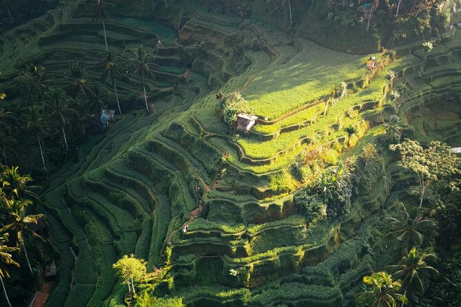 Ubud Iconic Full Day Tour Monkey Forest Rice Terraces Waterfalls - Three hours on the road: the real trade-off