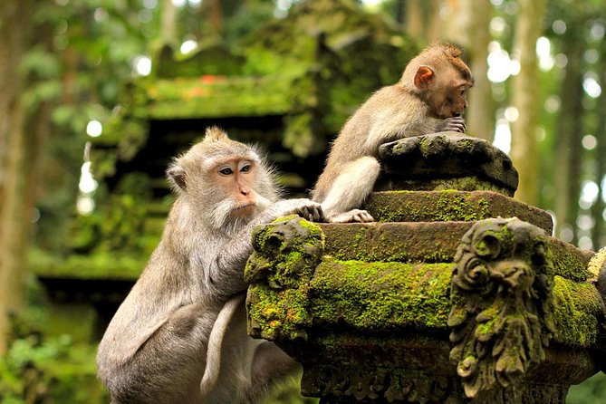 Ubud Sacred Monkey Forest & Art Village Tour - Celuk Village and the Silver Shopping Stop