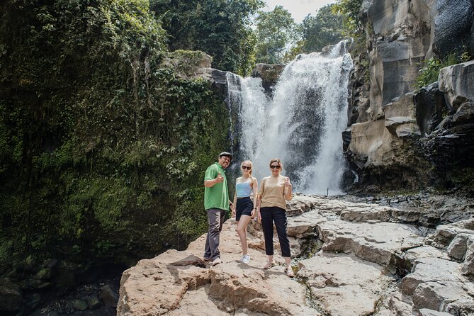 Ubud Small Group Tour: Monkey Forest, Tegalalang Rice Terraces and more - What this Ubud day trip is really like