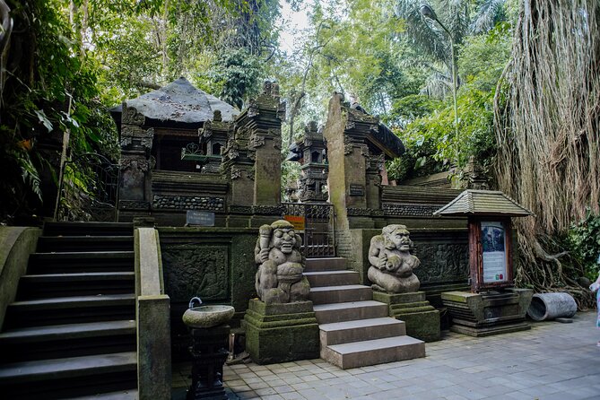 Ubud Small Group Tour: Monkey Forest, Tegalalang Rice Terraces and more - Tirta Empul: the most meaningful cultural stop