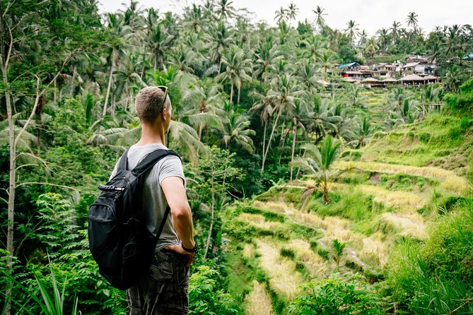 Ubud Small Group Tour: Monkey Forest, Tegalalang Rice Terraces and more - Guides, driving and the small-group feel
