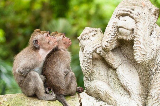 Ubud: Swing - Monkey Forest - Waterfall - Temple - Rice Terraces - Art Crafts - Key points at a glance
