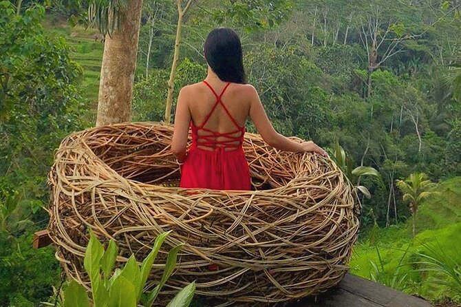 Ubud: Swing - Monkey Forest - Waterfall - Temple - Rice Terraces - Art Crafts - Tirta Empul: the most meaningful stop on the route