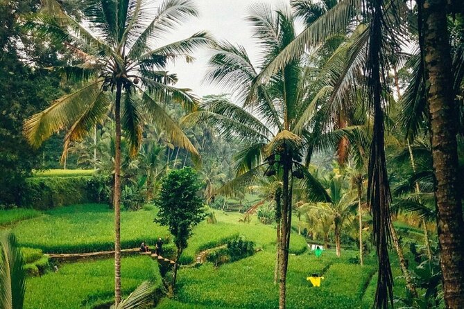 Ubud Temples, Waterfalls, Rice Terraces & Balinese Culture - What the private guide adds