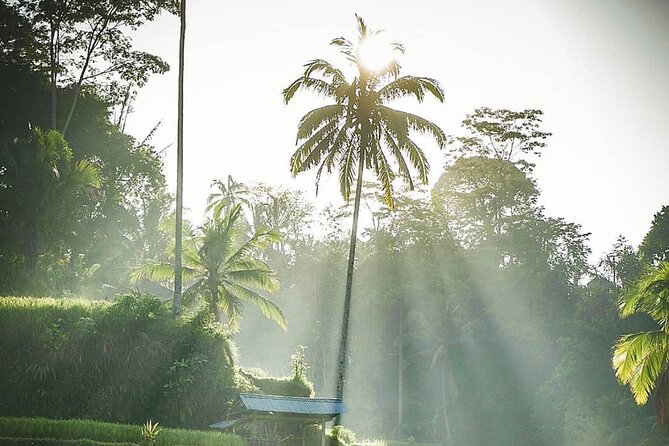 Ubud Temples, Waterfalls, Rice Terraces & Balinese Culture - Who will enjoy this route most