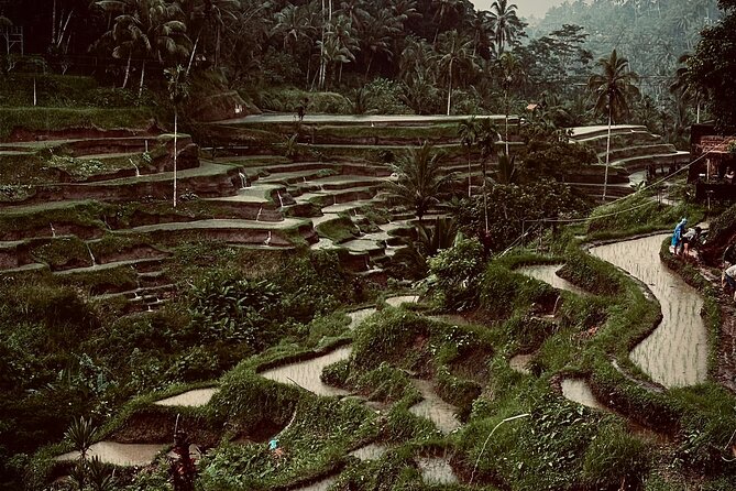 Ubud Top Tours to Discover Bali’s Cultural and Natural Wonders - Finding quiet at Ulu Petanu Waterfall