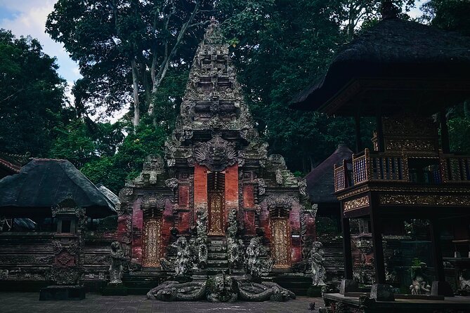 Ubud Top Tours to Discover Bali’s Cultural and Natural Wonders - The driver-guide makes the difference