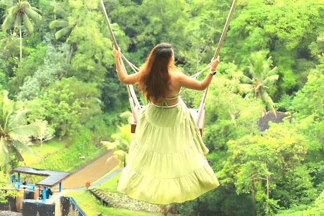 Ubud Tour with Jungle Swing and Waterfall Water Temple - Why the private car matters