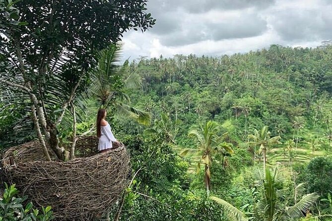 Ubud waterfall, rice terraces, and swing explore - The jungle swing: the expensive extra