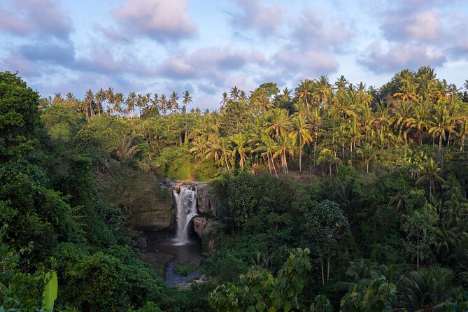 Ubud waterfall, rice terraces, and swing explore - What the $41 price really covers