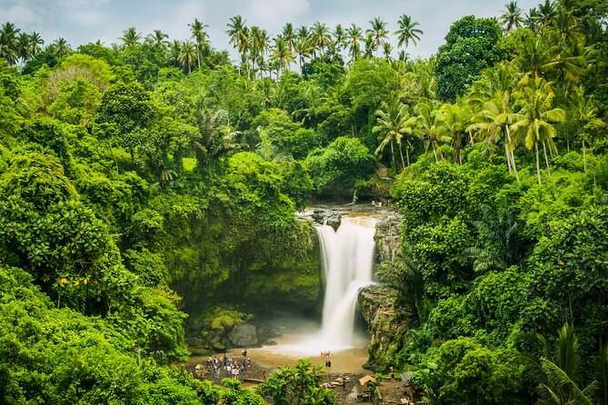 Ubud waterfall, rice terraces, and swing explore - Who will enjoy this tour most