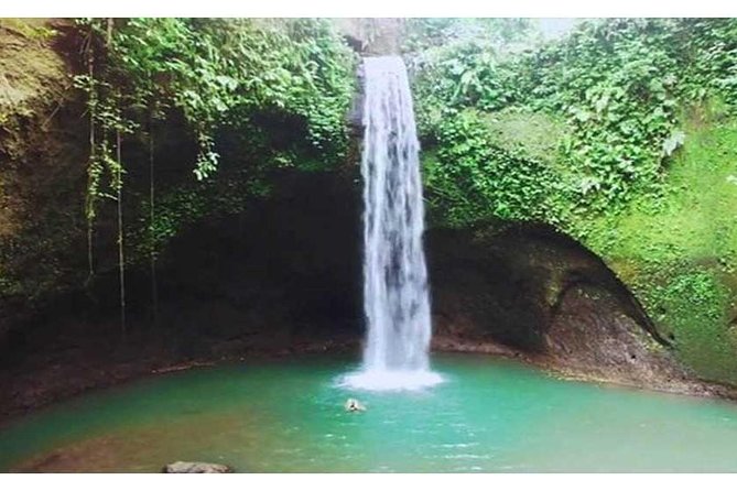 Waterfall Tour:Tegenungan-Kanto Lampo-Tukad Cepung and Tibumana- Free transport - Tegenungan Waterfall starts with the most accessible setting